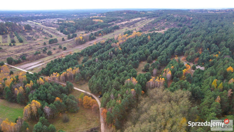 Działkę sprzedam 33800m Kajetanówka 2zł/m2