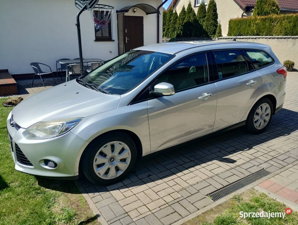 Ford Focus Fokus 16 TDCi 115 2014 r krajowy Pleszew