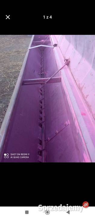 Siewnik Poznaniak lubelskie Sułów