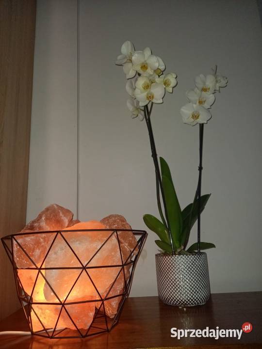 lampa solna oryginalna mega swiatło Gdańsk