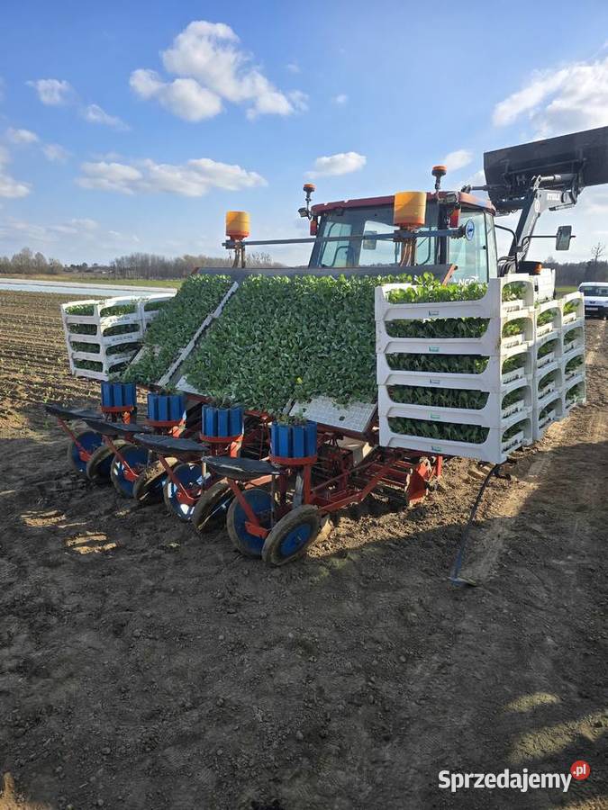 Sadzarka karuzelowa Zubowice