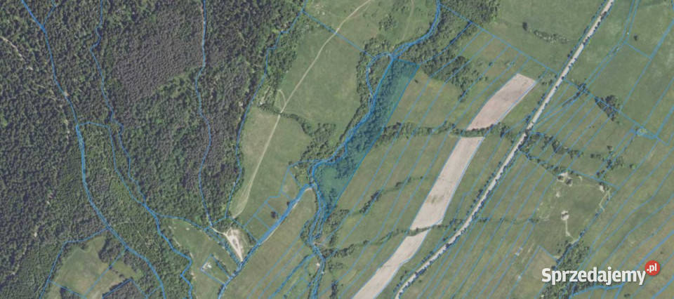 sprzedaży gruntu 587000m2 Daliowa podkarpackie sprzedam
