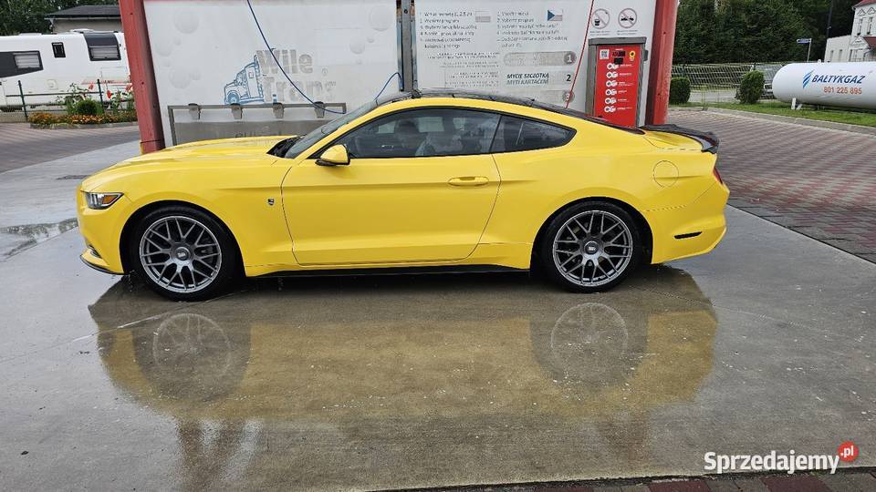 Ford Mustang 37 BLPG 2015r