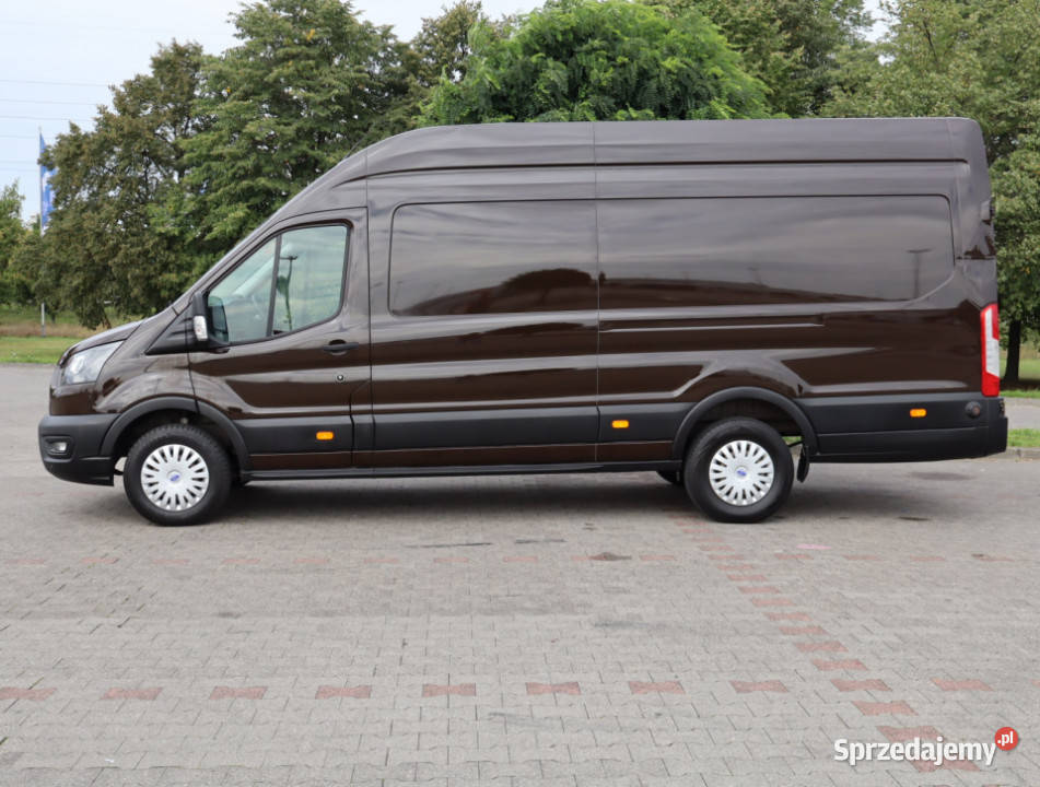 Ford Transit 20 EcoBlue dolnośląskie Bielany Wrocławskie