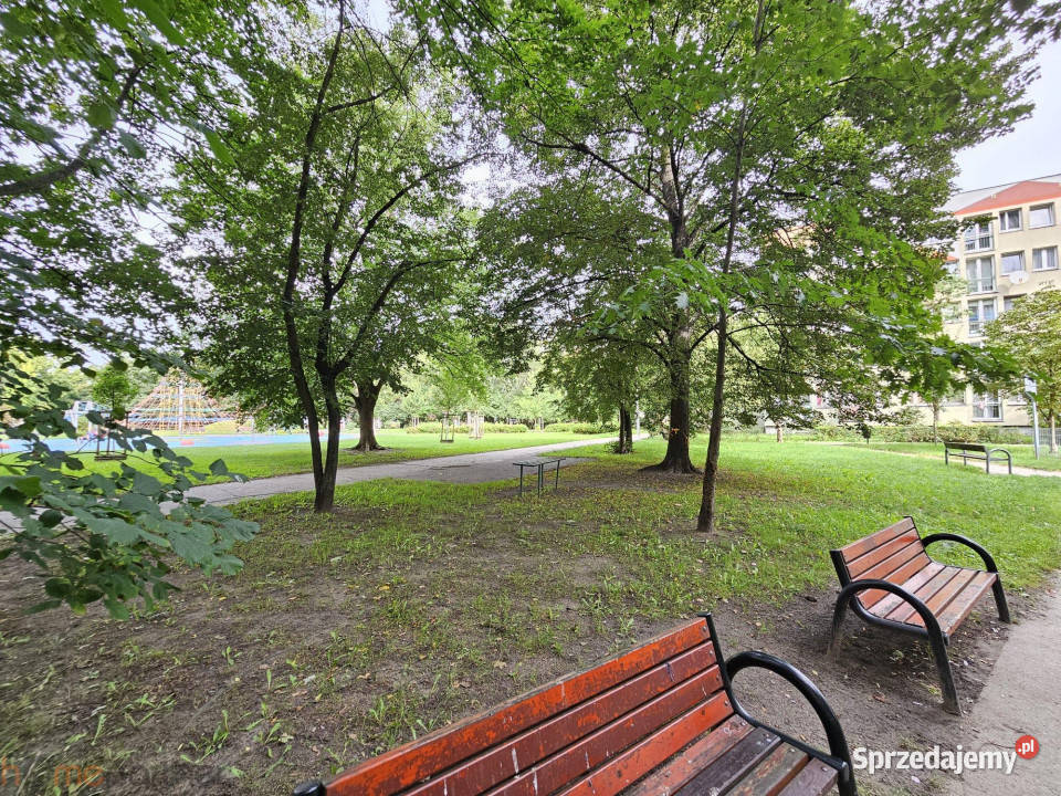 Wynajmę mieszkanie 25m2 1 pokojowe Wrocław 25m2