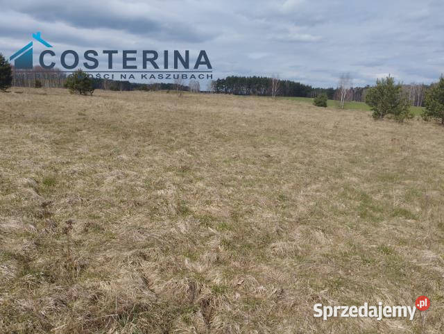 Działka Karsin 1222m2 Nieruchomości sprzedam