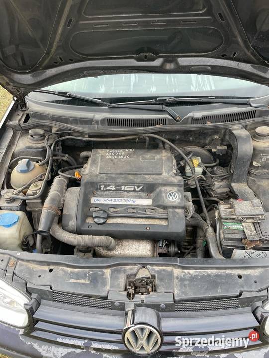 1999 Volkswagen Golf