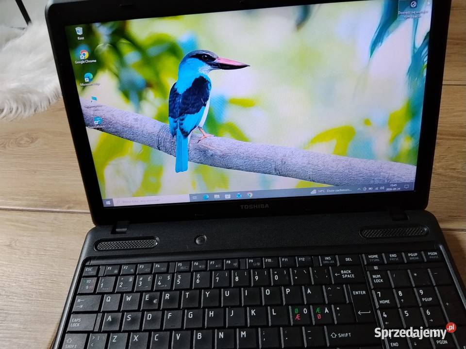 Sprzedam laptop Toshiba c660 Gościejew