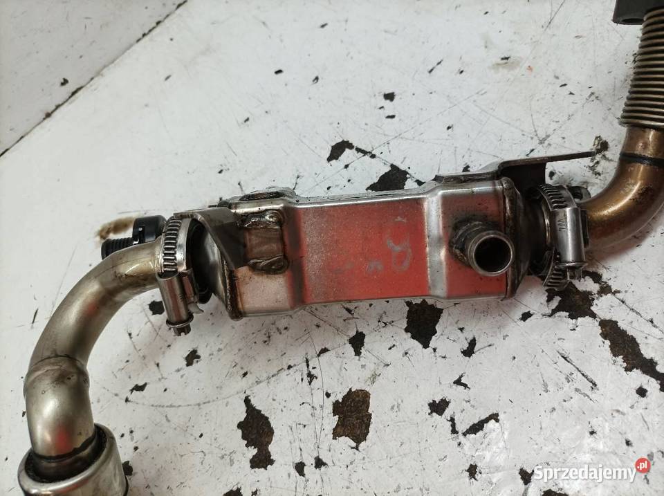 CHŁODNICA SPALIN 7789790 01 30 D M57 Bmw Seria 7 osobowe Recyrkulacja spalin EGR