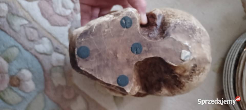 W POZNANIU KUPNO ZABYTEK SYGNATURY ZYWICA Środa Wielkopolska sprzedam