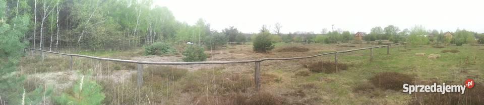 Działka Borowiec Tanwią malownicza okolica Grunty i działki Borowiec