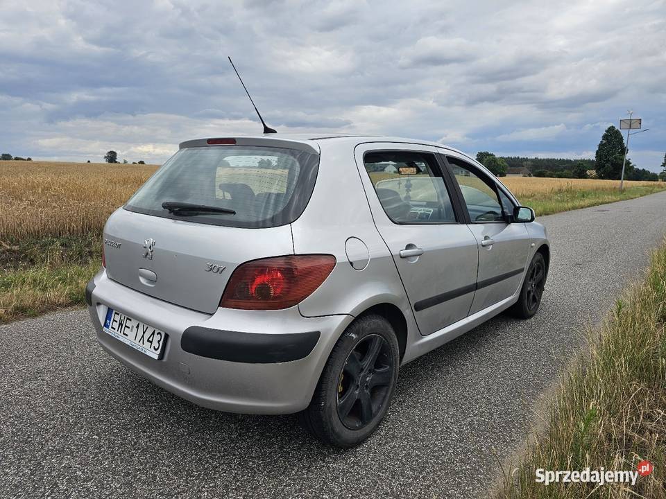 Peugeot 307 16 benzyna manualna Chotynin