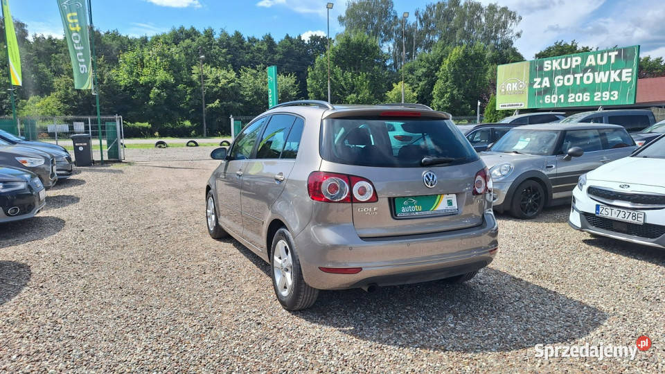 Volkswagen Golf Plus DSG Serwisowany I 20042009 nieuszkodzony