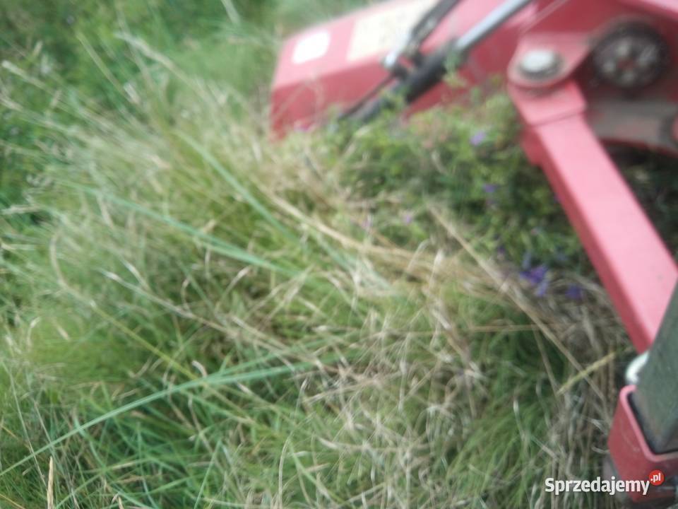 Kosiarka bijakowa Bijakowe