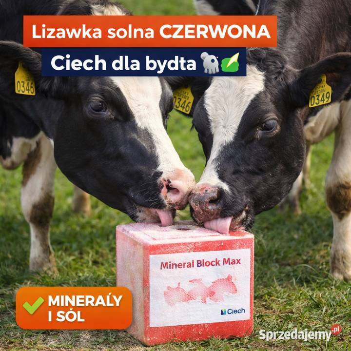 Lizawka solna Ciech czerwona 960 paleta 96 x 10 opolskie Prudnik