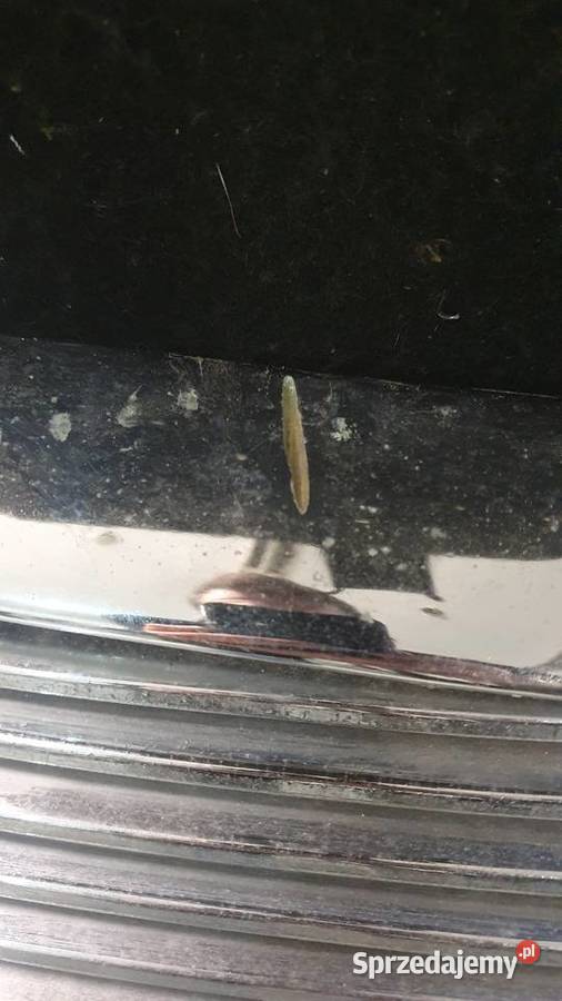 Grill Daimler hot rod pomorskie Gdańsk sprzedam