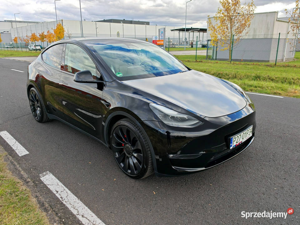 Tesla Y Performance AWD 534 wersja europejska z Niepruszewo