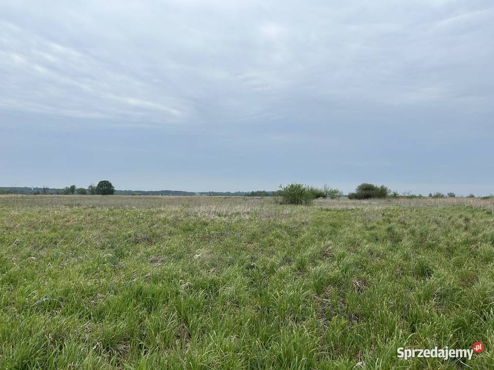 Działka z dostępem do naturalnego stawu 1091 m2 1091m2 Baranów