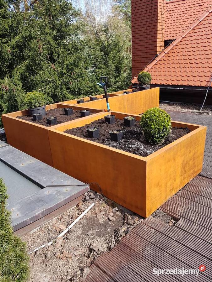 DONICE MROZOODPORNE Łosiów