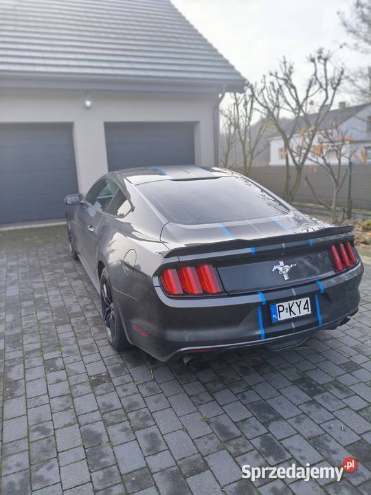 Mustang 37 2016 305KM Krzymów