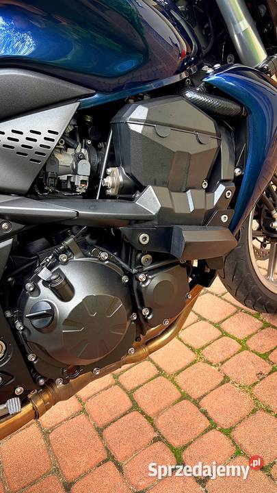 Kawasaki Z750 2008 r Otrębusy
