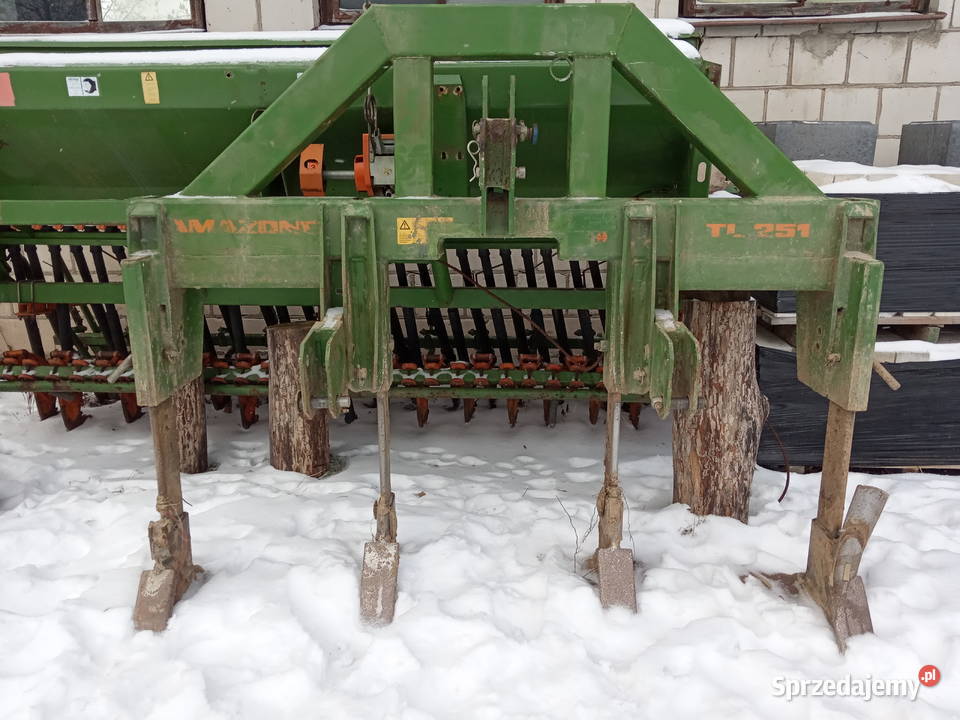 Głebosz amazone Głębosze