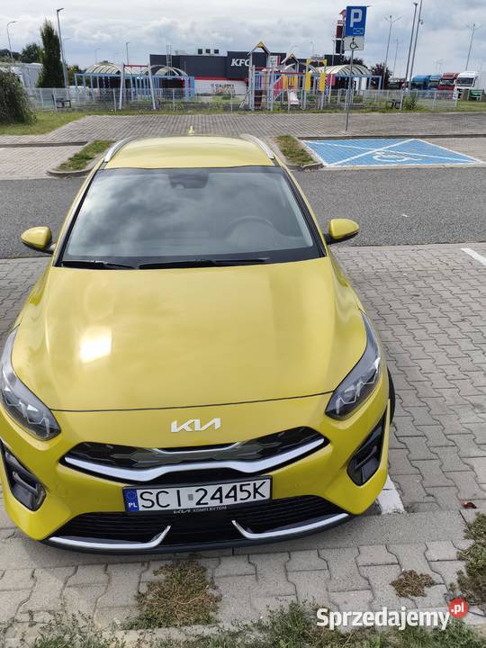 Kia Ceed 16 GDI PHEV Business Line DCT salon Piekary Śląskie