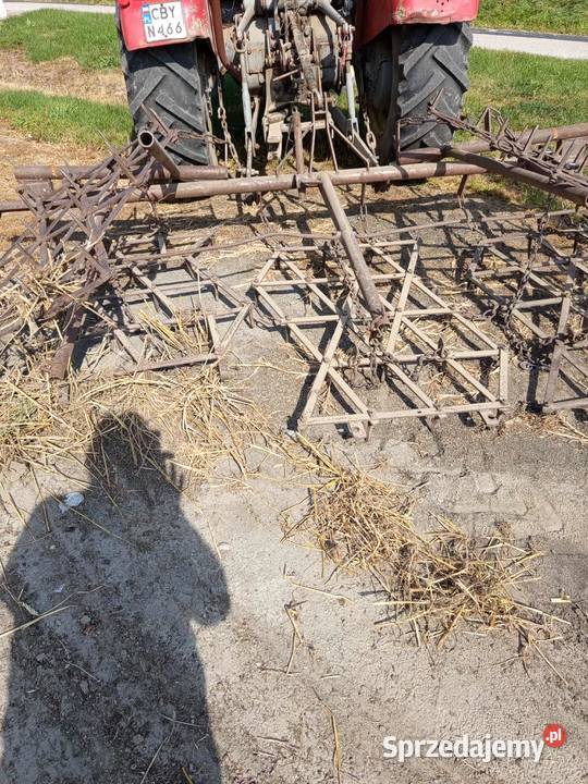 Brony 5 polowe Blizienko