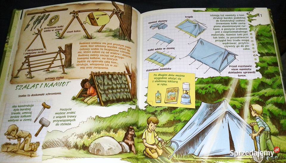 Dziennik przygód chłopaków Opracowanie zbiorowe Chełm