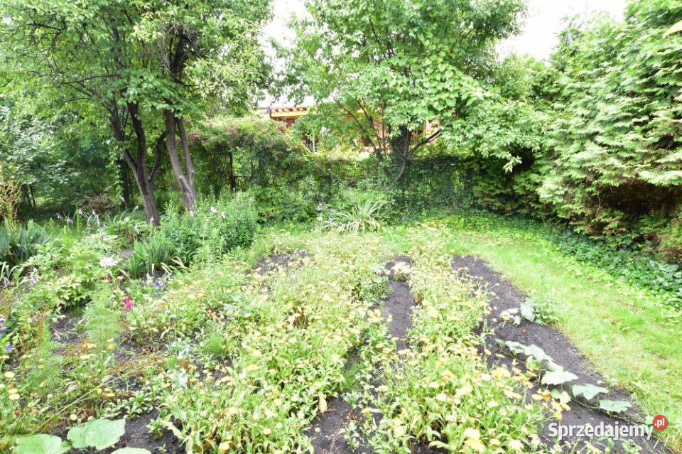 Działka rekreacyjna ROD RAi z domkiem Warszawa sprzedam