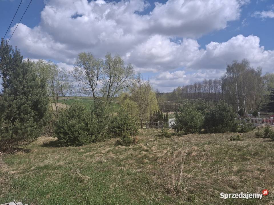 Sprzedam parterowy Nieruchomości Młodziejów sprzedam