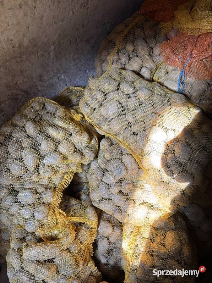 Sprzedam ziemniaki jadalnedo sadzenia 3 odmiany Rośliny okopowe Zakrzówek