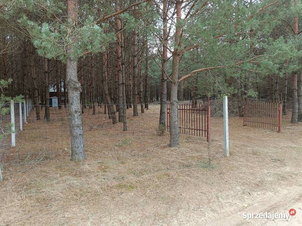Działka 1500 m2 Mierzwice Mierzwice-Kolonia sprzedam