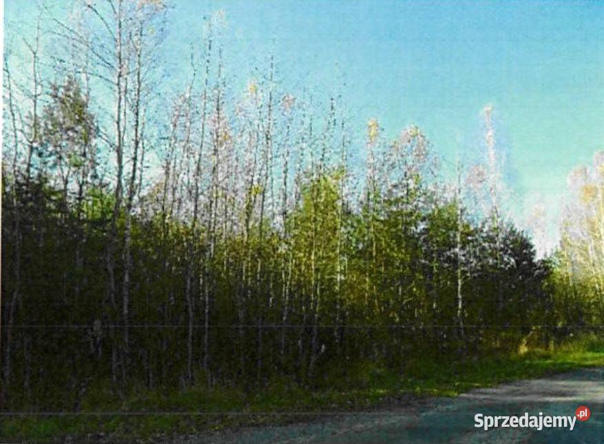 Nieruchomość gruntowa niezabudowana 37400 ha