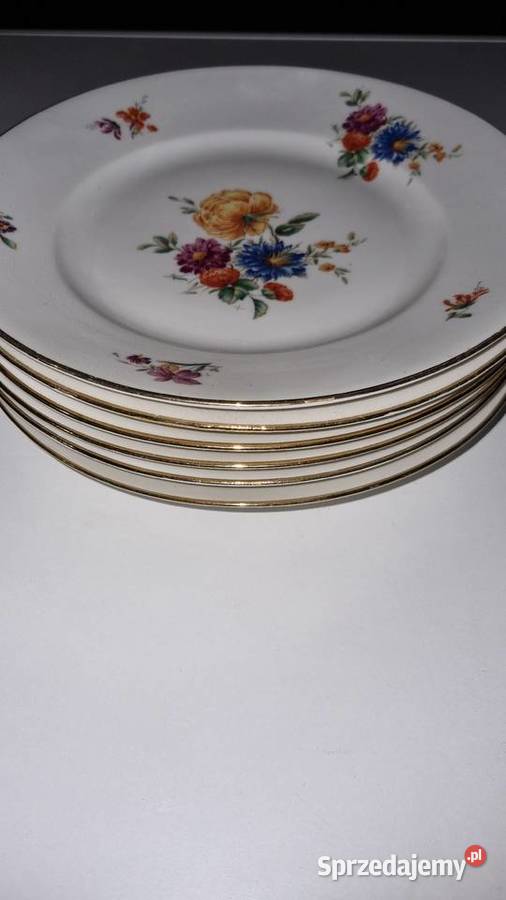 Talerze Płaskie Porcelana Francuska Limoges Wola Podłężna