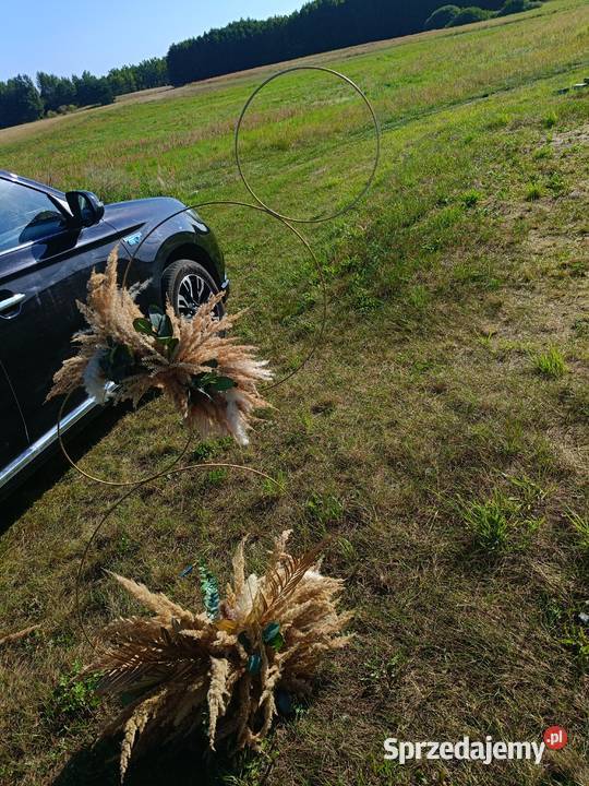Dekoracje Styl Boho suszki Piła