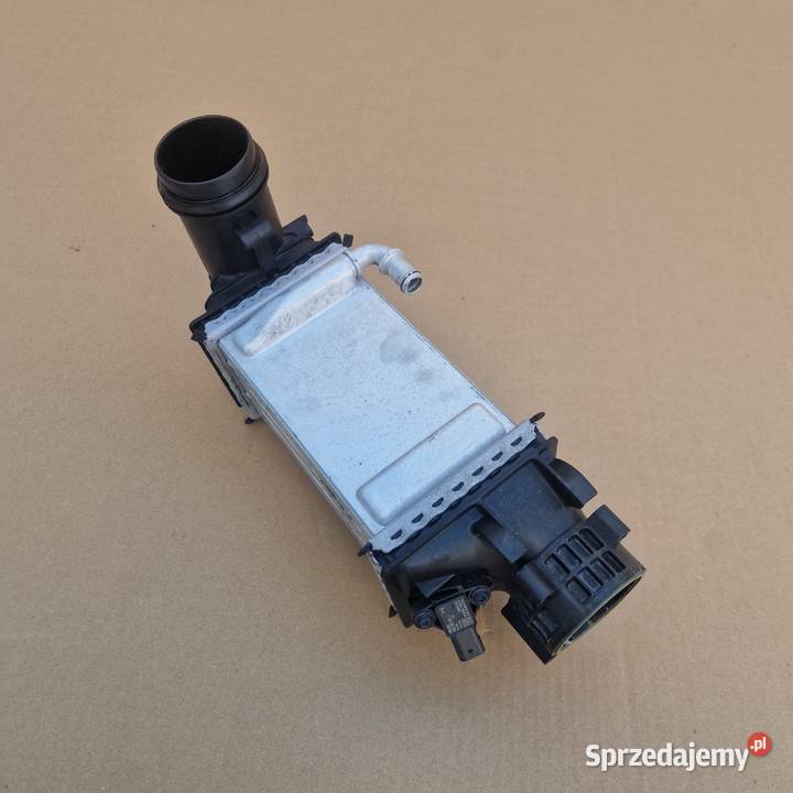 VW INTERCOOLER CHŁODNICA POWIETRZA INTERCOOLER lubuskie Bieleń