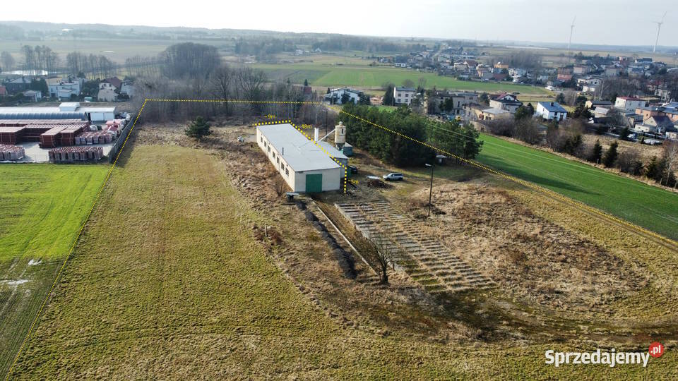 Dzialka Sprzedaż Sprzedaż Psary