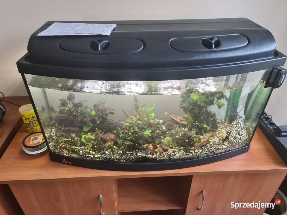 Akwarium 120l z filtrem zew I akcesoriami Warszawa