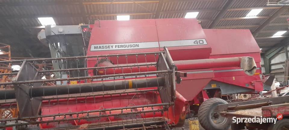 Kombajn Massey Ferguson Buk