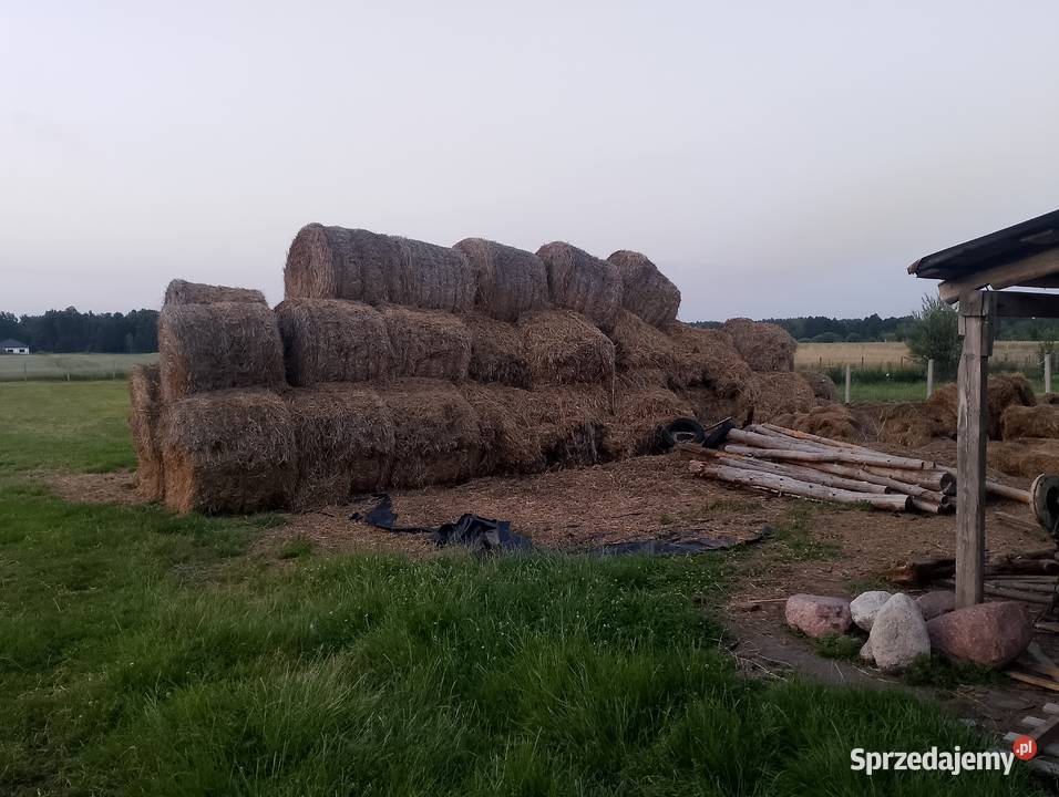 Słoma Augustynów sprzedam