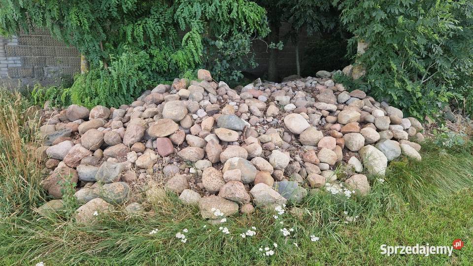 Oddam kamienie polne Żwir i kamienie Białoskóry sprzedam