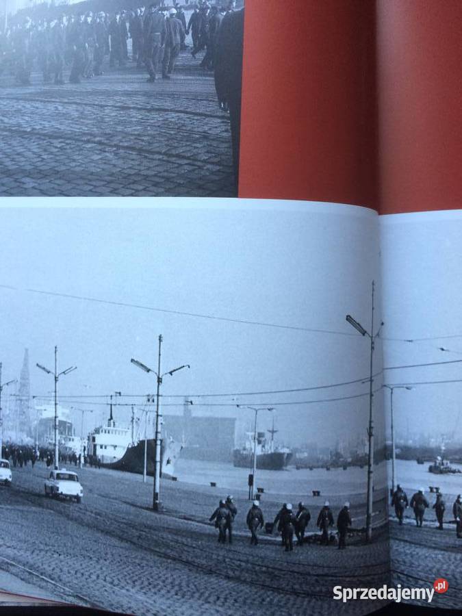 2798 Zbuntowane MiastoSzczeciński zachodniopomorskie Szczecin