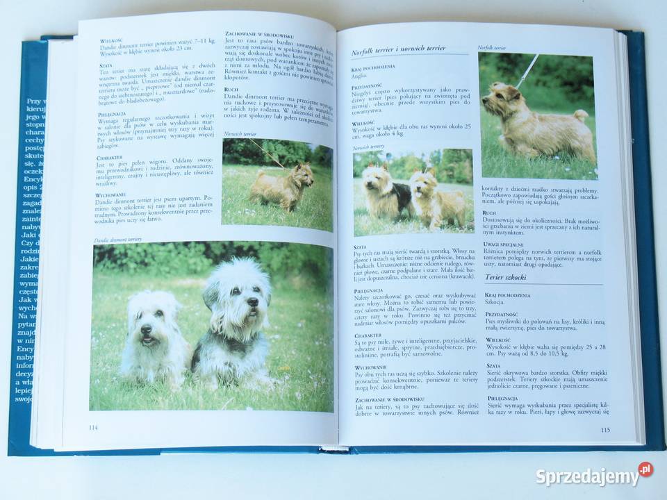 Encyklopedia Psów Ester J J VerhoefVerhallen Kraków