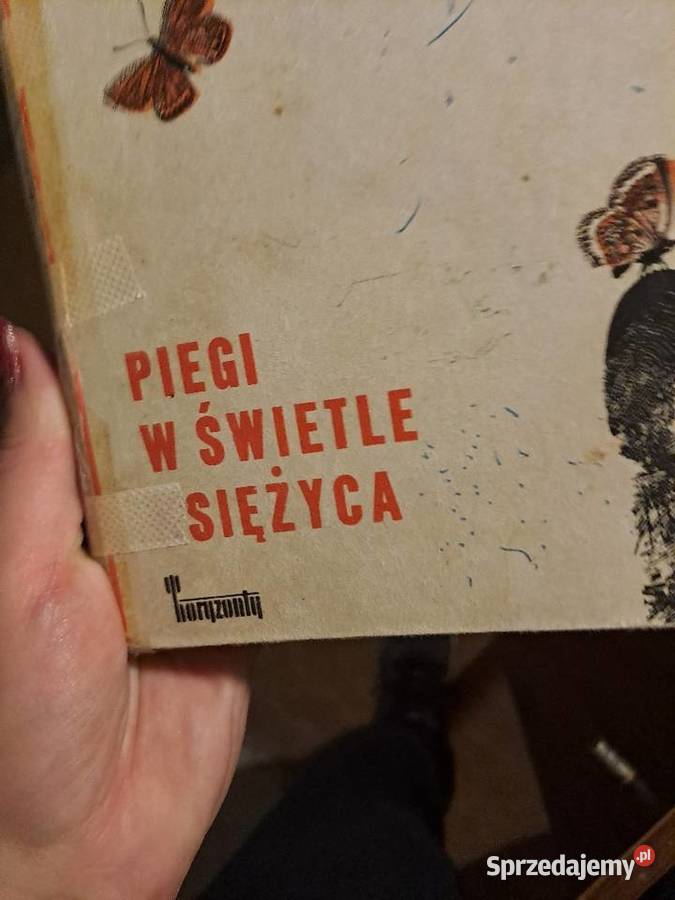 Piegi w świetle księżyca Wrocław