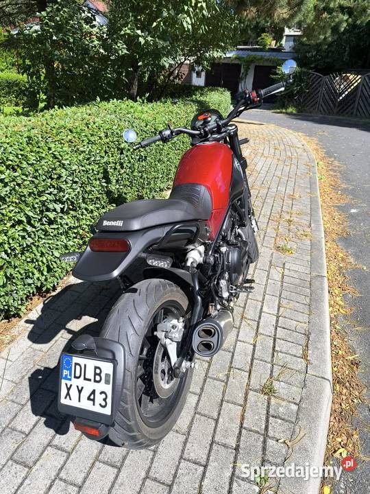 Benelli Leoncino 500 Benelli Olszyna