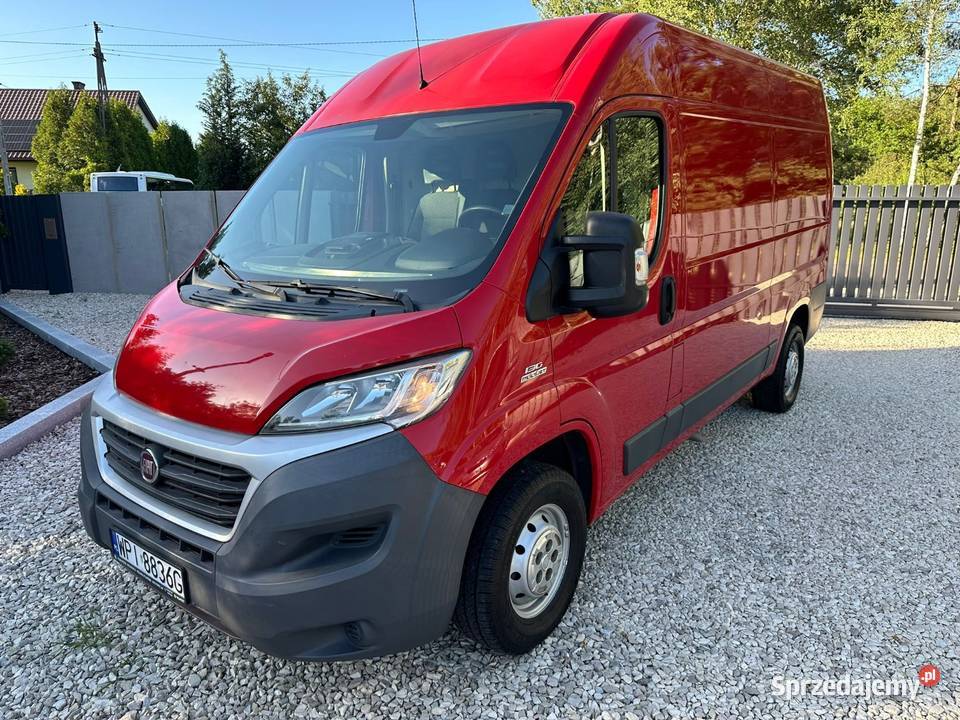 Bus wynajem wypożyczalnia bus bus z kierowca Transport