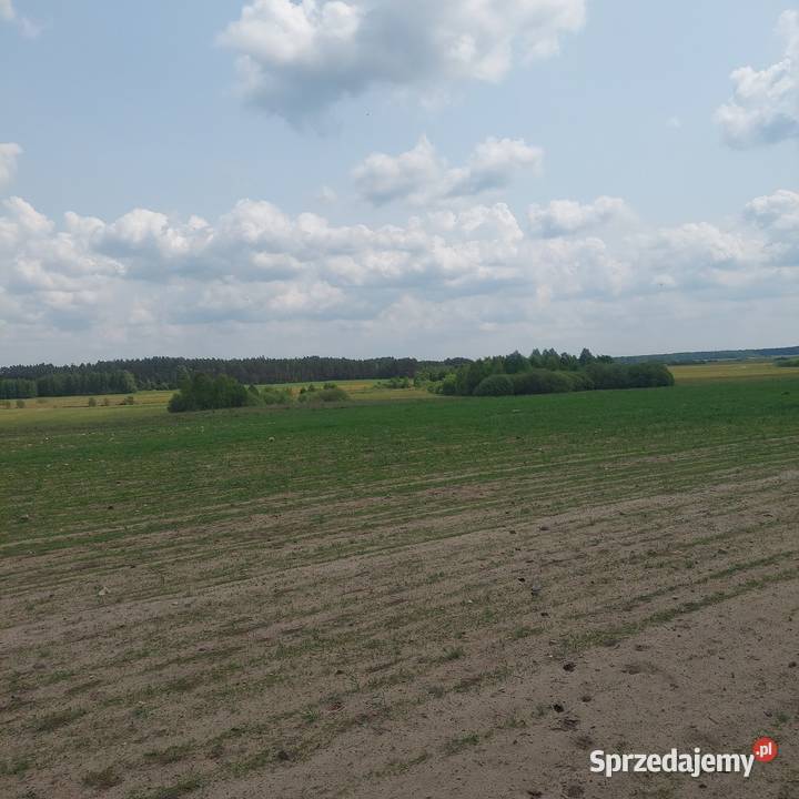 Działka siedliskowa Sprzedaż pomorskie Huta