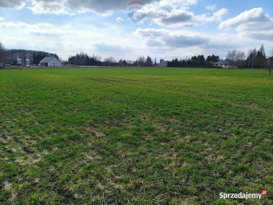 Działka budowlana w pobliżu Płocka budowlana