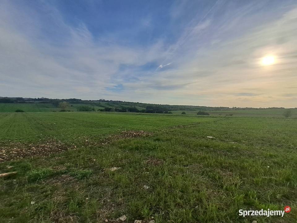 Sprzedam działkę 924m2 924m2 Sadowie sprzedam